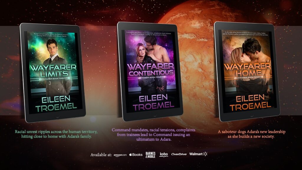 The Wayfarer series by Eileen Troemel